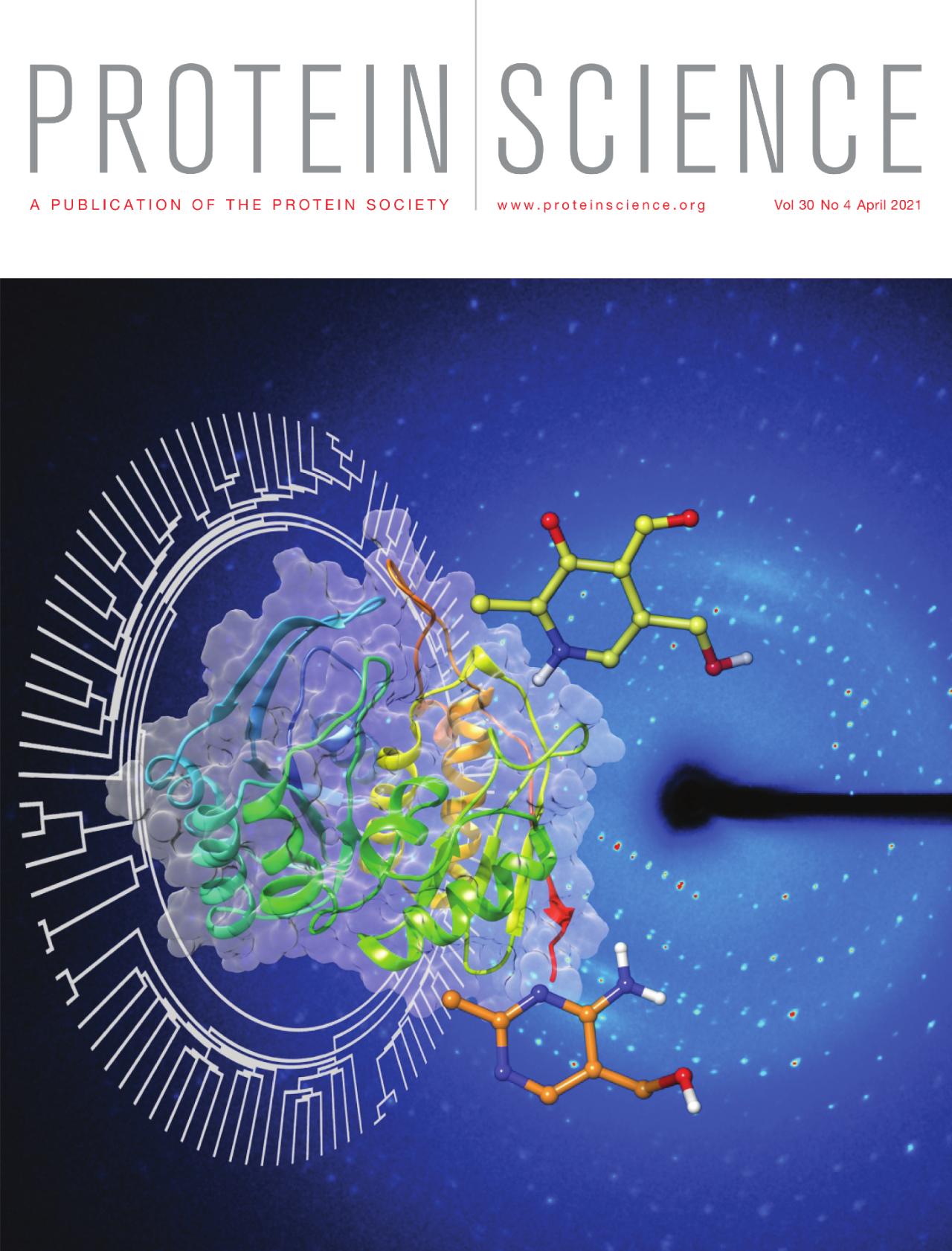 Revista Protein Science destaca en su portada de abril publicación en que  participaron académicos de la Facultad de Ciencias - Universidad de Chile