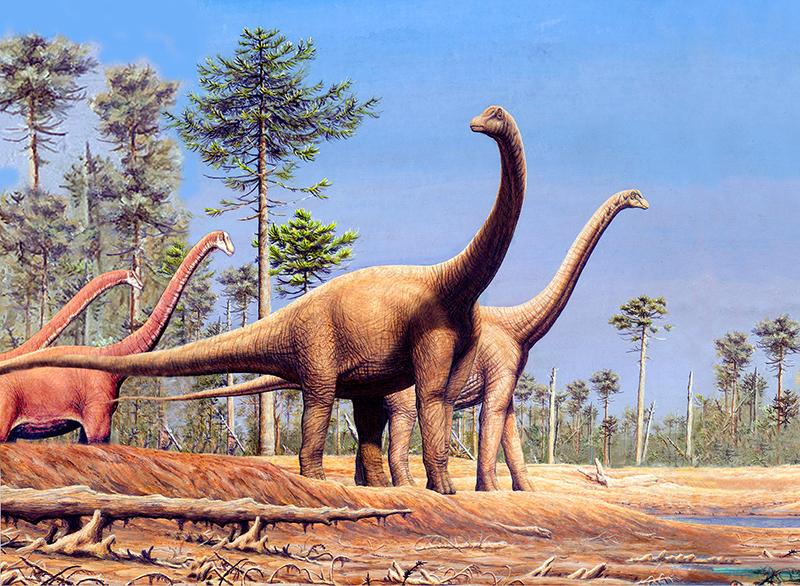 Pterosaurios, plesiosaurios y mosasaurios: los hallazgos fósiles de un  grupo de científicos de la Universidad de Chile