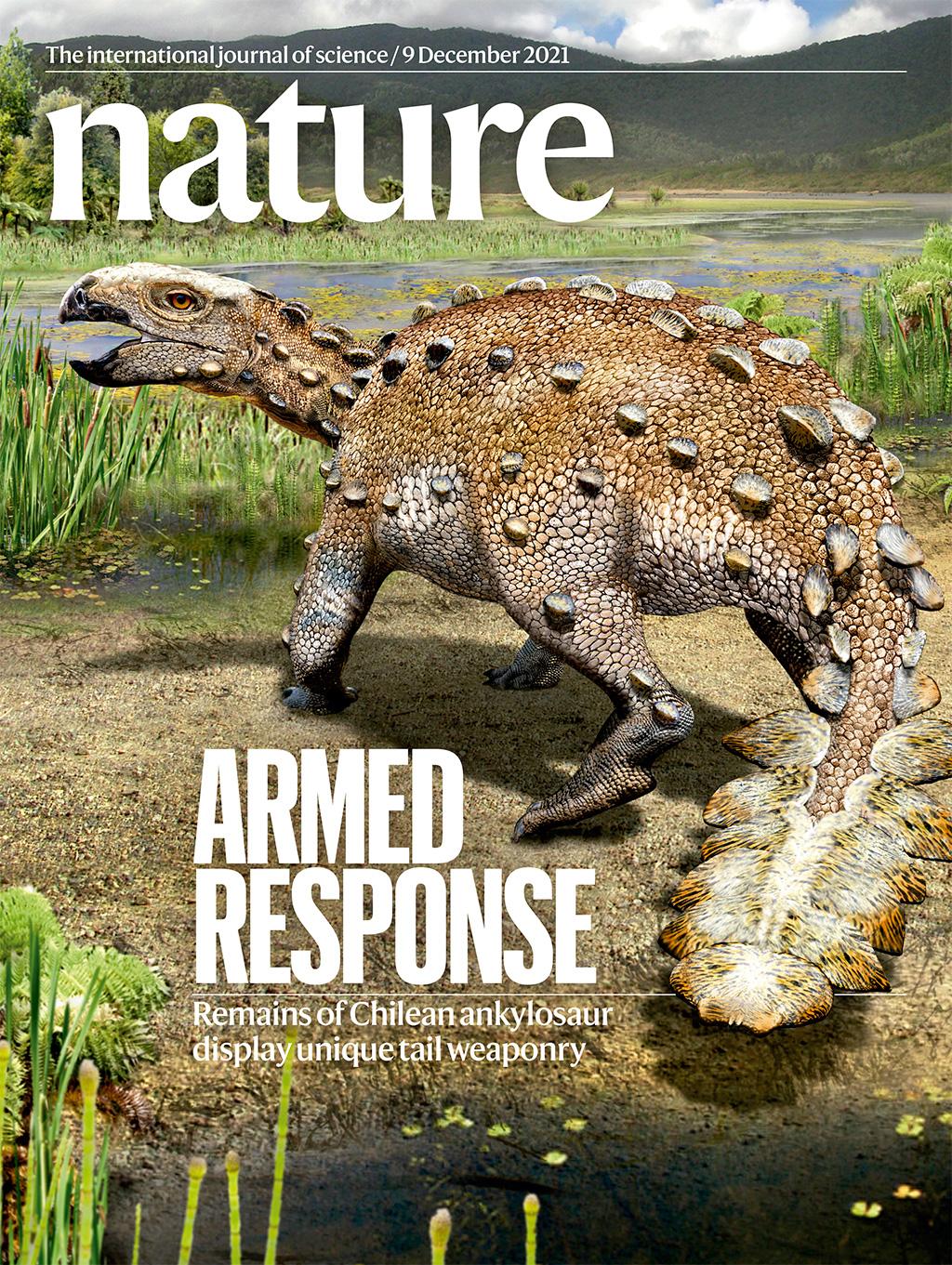 Chile en los ojos del mundo: Portada de Revista Nature destaca a nuevo  dinosaurio acorazado descubierto en la Patagonia