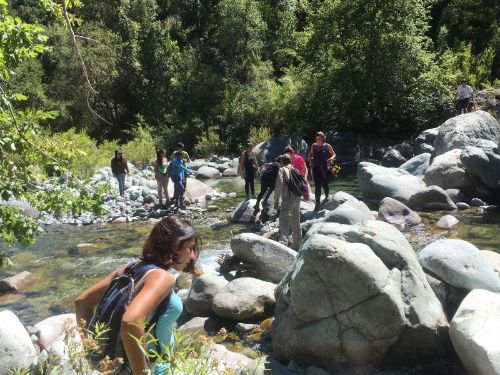Universidad de Chile abre carrera de Ingeniería en Recursos Hídricos