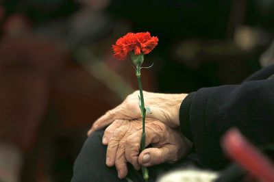 El Día Internacional de las Víctimas de Desaparición Forzada, surgió como iniciativa presentada por la Federación Latinoamericana de Asociaciones de Familiares de Detenidos Desaparecidos (FEDEFAM), la que fue acogida por la Asamblea General de las Naciones Unidas el 21 de diciembre del 2010. 