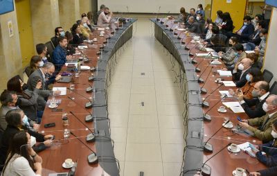 La Mesa, que integran dos académicos de la U. de Chile, se reunió este jueves 21 de abril.