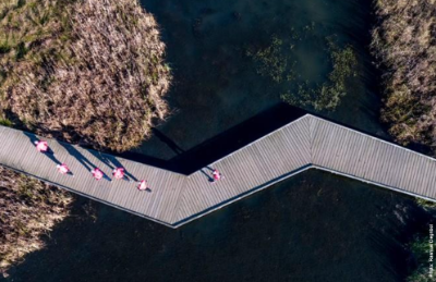Ciudad Resiliente: En Dinamarca se muestra cómo a través de la construcción de plazas y espacios recreativos, se conduce y retrasa el curso del agua dando uso a sitios eriazos o mal utilizados para crear instancias de recreación.