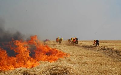 En la Región de O´Higgins han demostrado que las quemas agrícolas aportan el 29% del total del material particulado 10 (MP10) y el 46,5% del MP2,5 presentes en el aire. 