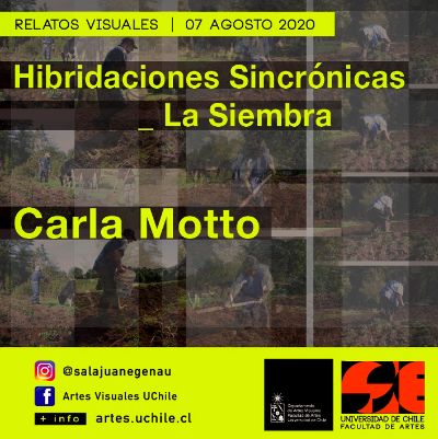 "Hibridaciones Sincrónicas_ La Siembra" de Carla Motto