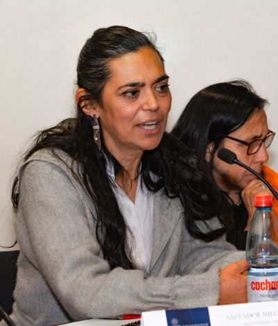 La Directora del CDH, profesora Nancy Yáñex, efectuó un análisis crítico de la reciente sentencia del segundo Tribunal Ambiental de Santiago.