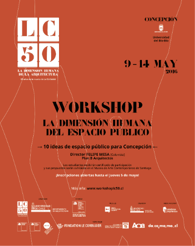 Afiche oficial para la convocatoria del Workshop en Concepción.