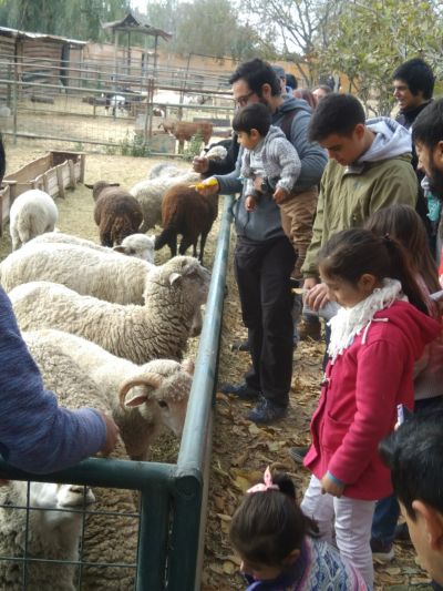 Se realizó un recorrido por Mundo Granja junto con estudiantes de la carrera de medicina veterinaria, siendo uno de los puntos mas atractivos para los mas pequeños.