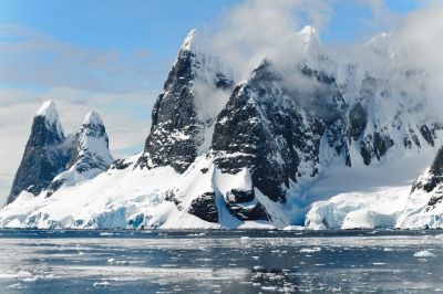 Sabemos que la Antártica es el continente más frío, seco y con vientos intensos, donde solo los organismos adaptados a estas condiciones extremas logran sobrevivir.
