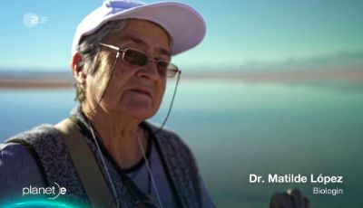 La Dra. Matilde López, académica de la Facultad de Ciencias Forestales y Conservación de la Naturaleza, ha realizado una serie de estudios sobre las especies de fauna y flora en el Salar de Atacama.