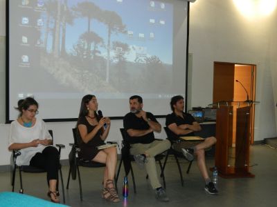 Daniela Manuschevich, Fernanda Salinas, Jaime Hernández y Álvaro Gutiérrez respondieron consultas en conjunto después de sus intervenciones.