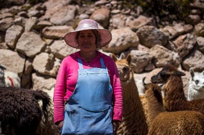 La organización estudiantil lleva casi 20 años trabajando con los pueblos indígenas del altiplano chileno en la Región de Arica y Parinacota.