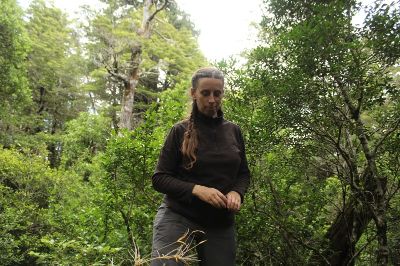 La profesora Paulette Naulin explica la necesidad de contar con estudios para determinar cuáles plantas o árboles son o no dañinas para el ecosistema chileno.