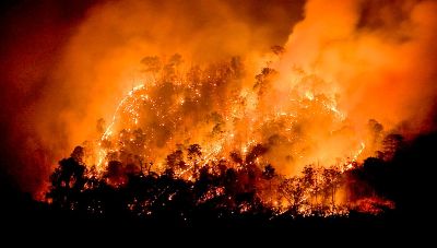 Las condiciones de sequía y altas temperaturas son ideales para la propagación de incendios forestales.