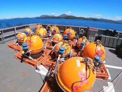 Los sismómetros oceánicos (OBS) de la Universidad de Tokio registraron datos geológicos durante dos años en el fondo oceánico frente a la Península de Taitao.