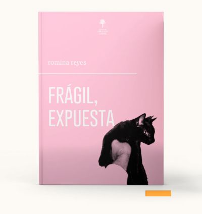Su nuevo libro, "Frágil, expuesta", es una recopilación de textos publicados en sus blogs de internet.