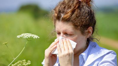Alergias de primavera 