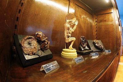 Sala de exhibición del museo de anatomía mostrando fetos conservados