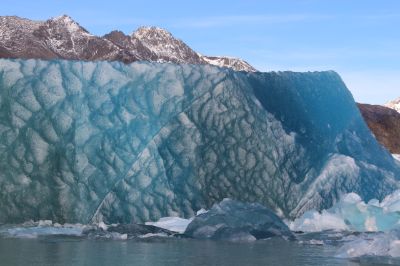 Este hallazgo, explican las y los expertos, ha estado marcado por el cambio climático. Esto porque el glaciar Viedma ha experimentado desde el año 2014 a la fecha una pérdida de 5,5 km de superficie de hielo debido a un retroceso frontal de 2 km, lo que ha dejado al descubierto una zona inexplorada.