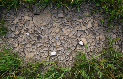 Con un aumento del 29% durante los últimos años, la sequía a nivel mundial impacta diariamente a más de 2.300 millones de personas.