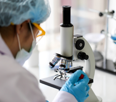 Optimizar las condiciones de cultivo de células mamíferas para la producción de biofármacos, es el objetivo de la plataforma Cell Culture Media Optimization (CELIA).