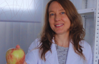 Entre las temáticas de los proyectos desarrollados, se encuentra la investigación llamada “Validación Molecular de nuevos prototipos de manzanas funcionales con oxidación retardada para el mercado de fruta fresca de cuarta gama”, liderado por la académica de la Facultad de Ciencias, Claudia Stange.