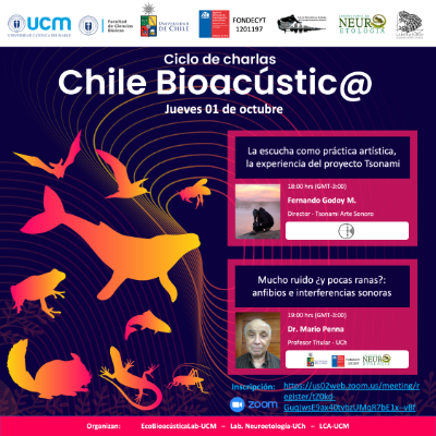 El ciclo Chile Bioacústic@ comprende charlas sobre diversos ámbitos de la comunicación sonora en distintos animales.