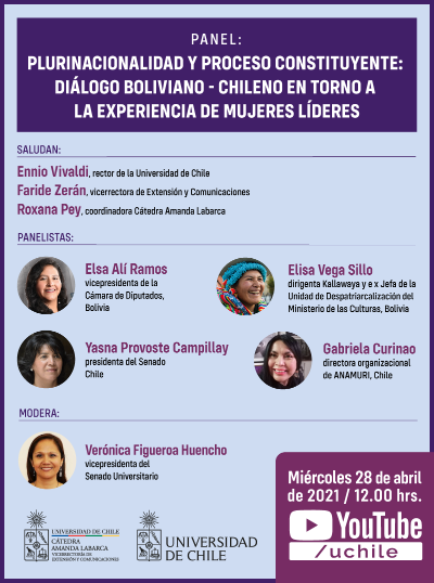 Panel sobre plurinacionalidad: diálogo boliviano - chileno