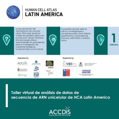 Human Cell Atlas Latin America