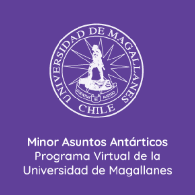 Banner UChile Minor en Asuntos Antárticos Universidad de Magallanes
