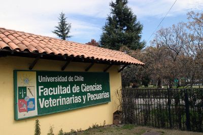 Faculty of Veterinary and Animal Sciences