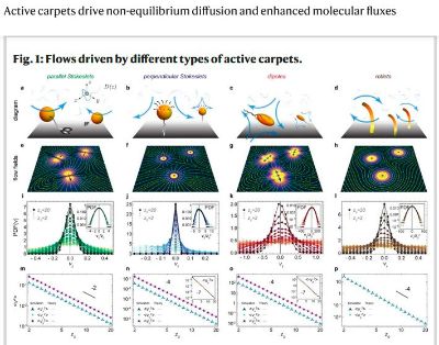 Flujos impulsados por diferentes tipos de alfombras activas. Una ilustración del modelo publicado en Nature Communications.