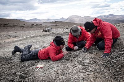 Participaron de este hallazgo científicos de la Red Paleontológica de la Universidad de Chile, Alexander Vargas y Sergio Soto, junto a un equipo de investigadores argentinos y del INACH.