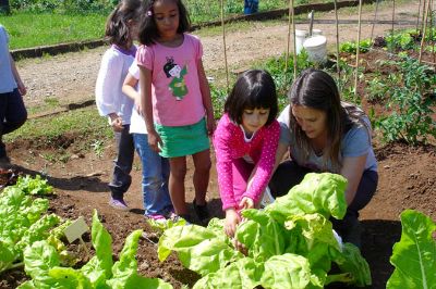 El trabajo con con huertas alimentarias orgánicas ha permitido en Canadá instalar un modelo de educativo a través del cual los escolares producen sus alimentos y manejen sus desechos,