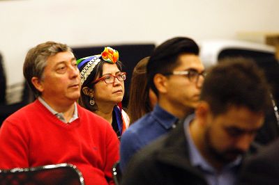 La VAEC, en acuerdo con una mesa técnica formada por académicos indígenas de la Universidad de Chile, convocará a las unidades académicas a participar e una comisión de pueblos indígenas.