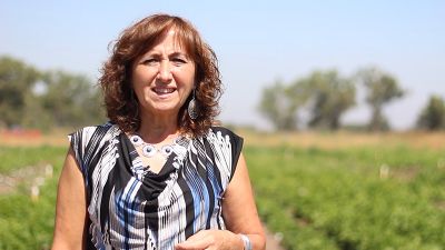 La profesora Cecilia Baginsky explicó que el objetivo del proyecto que impulsan es revitalizar la producción de porotos entre los agricultores, y su consumo entre la ciudadanía. 
