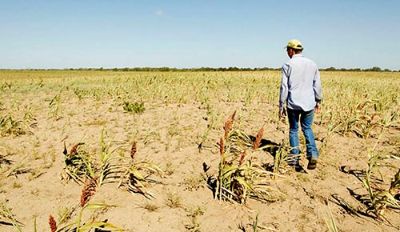 La condición de sequía que amenaza la producción agrícola se hizo aún más crítica con las denuncias que culpan a los palteros por la escasez hídrica.