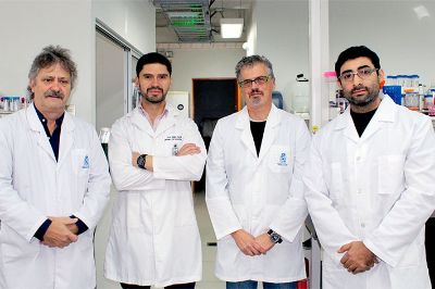Andrew Quest, de la Facultad de Medicina, y Marcelo Kogan, Simón Guerrero y Felipe Oyarzún, de la Facultad de Ciencias Químicas y Farmacéuticas, integran el equipo de investigación. 