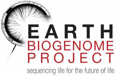 "Earth Biogenome Project" espera secuenciar a un millón y medio de especies, entre animales, plantas, hongos, algas y protozoos.
