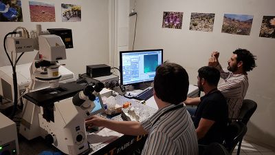 "Los diversos adelantos en esta materia están permitiendo mejorar la resolución y capacidades de nuestros microscopios", señaló el profesor de la Facultad de Ciencias, Octavio Monasterio.