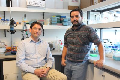 Los profesores Mario Rivera y David Vásquez de la Facultad de Ciencias Químicas y Farmacéuticas,  comprobaron que el compuesto ALDA-1 reduce notablemente la ingesta de alcohol en animales.