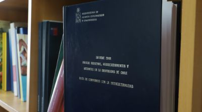 Informe Comisión Pueblos Indígenas, Afrodescendientes y Migrantes.