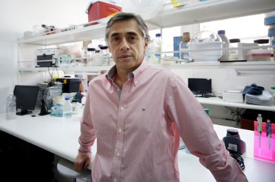 "Nuestra nanoformulación -conteniendo un inmunomodulador encapsulado- fue capaz de reducir la sintomatología clínica significativamente usando bajas dosis del mismo", afirmó Rodrigo Naves.