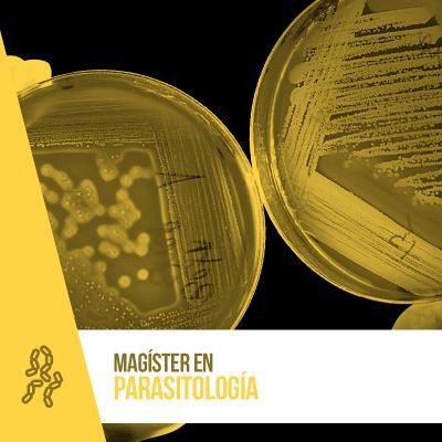 Facultad de Medicina impartirá Magíster en Parasitología. 