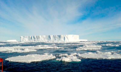 El proyecto "Explorador Antártico" busca analizar los cambios de temperatura que se han registrado en el Continente Blanco desde el año 1900 a la actualidad.