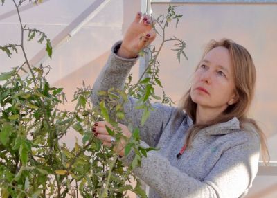 La profesora Claudia Stange explicó los beneficios del mejoramiento genético de las plantas y las diferentes técnicas que se emplean para ello.