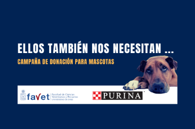 Alianza estratégica para ayudar a las mascotas de La Pintana