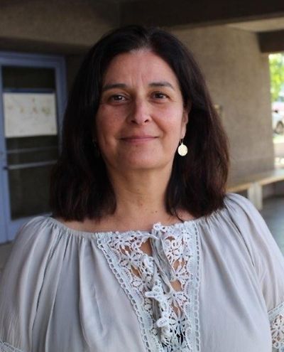 Lorena Rodríguez, académica de la Escuela de Salud Pública de la U. de Chile.