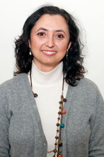 Dra. Carmen Antini Irribarra, autora y académica del  Programa de Epidemiología de la Escuela de Salud Pública, Facultad de Medicina, Universidad de Chile