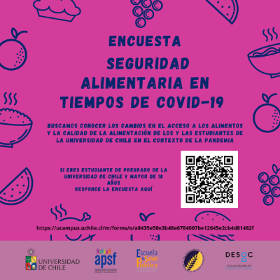 La encuesta busca conocer el acceso y la calidad de los alimentos de los y las estudiantes de la U de Chile y sus familias.